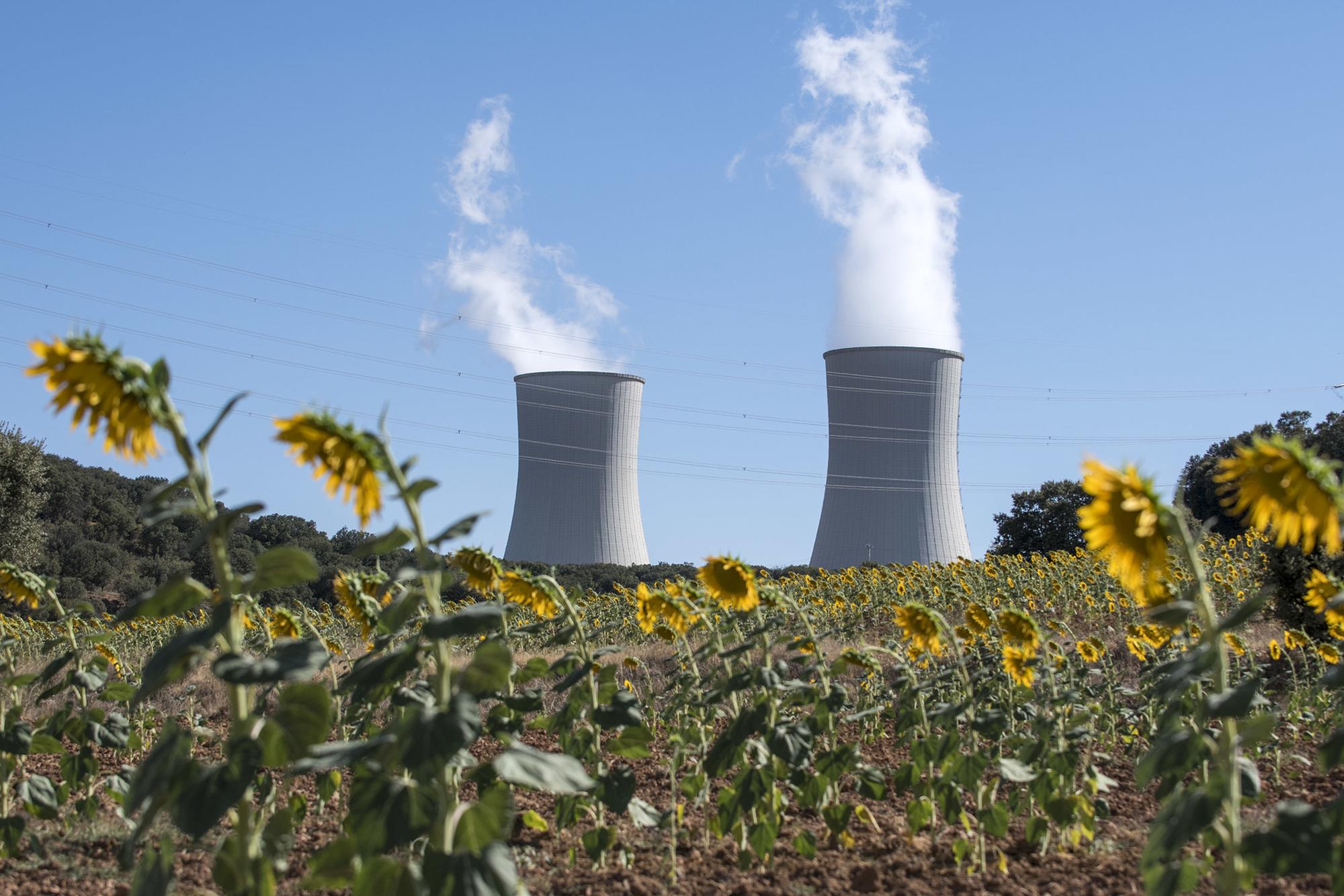 Central nuclear Trillo